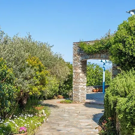 Anassa