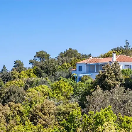 Apartment Anassa Skiathos Town