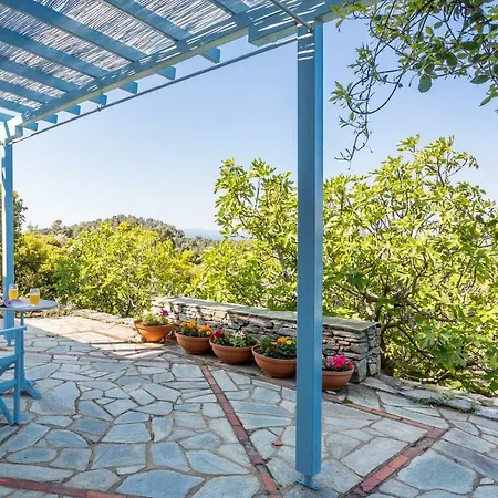 Apartment Anassa *
